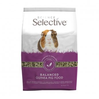 Science Selective Guinea Pig