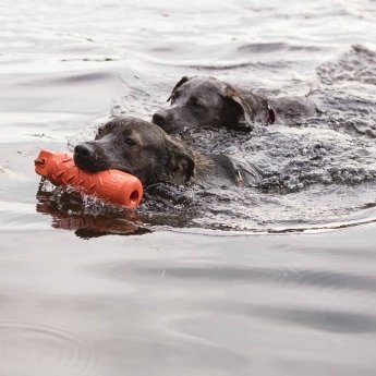 KONG Trainin Dummy