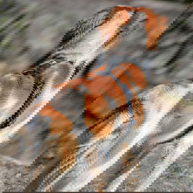 Feel Active Reflective heijastinvaljas musta