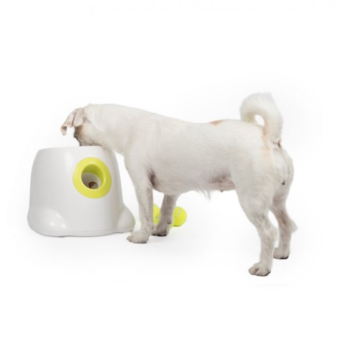 All For Paws Hyper Fetch Mini pallonheittäjä